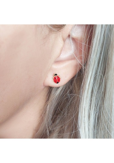 925 Ayar Gümüş Kırmızı Uğur Böceği Küpe Gold