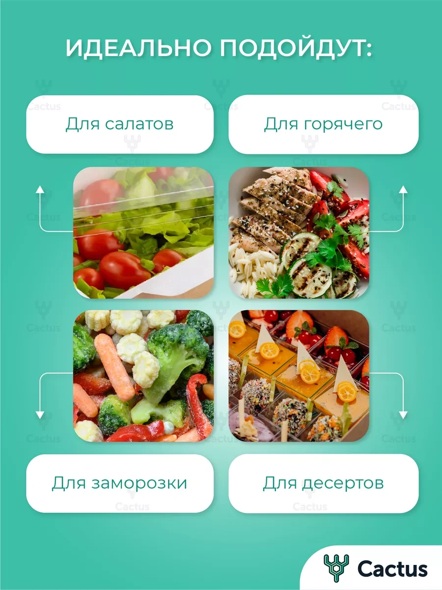 Cactus Tek Kullanımlık Trifle Kutuları, 800 Ml Gıda Kapları 19075641 100 adet