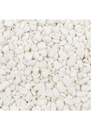 Mezar - Kabir Bitki Seti - 10 Adet Yeşil Taflan Greenspire 25-30