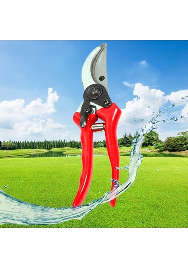 Pazly Meyve Makası, Makası, Makası Budama Budama Bahçe Ağaçları Cq