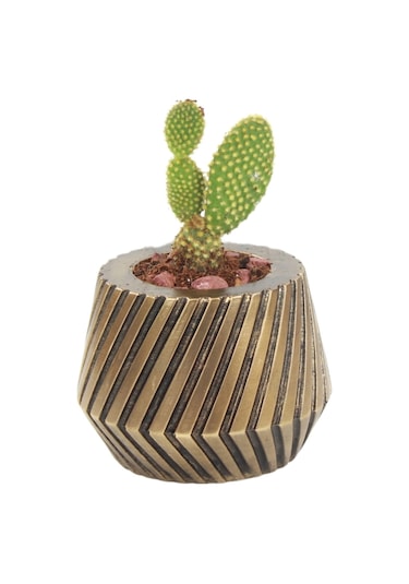 Saksı Çiçek Kaktüs Saksısı Lüx 13 Cm Mekanik Dişli Desen Saksı Çiçeklik - Altın Eskitme