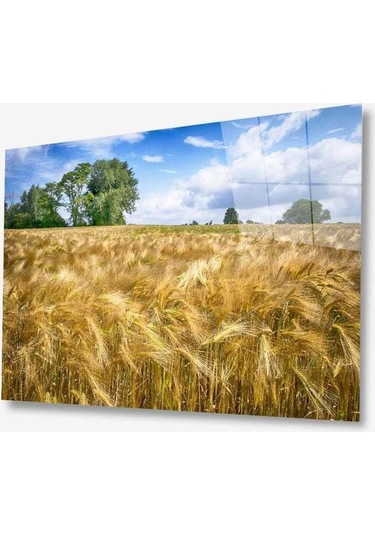 Doğa Cam Tablo 4mm Dayanıklı Temperli Cam679