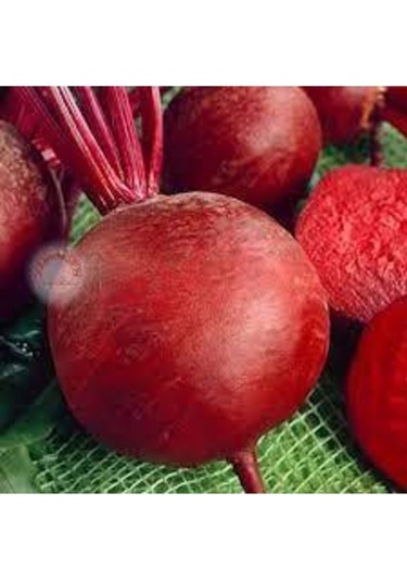 50 Adet Tohum Çok Faydalı Kırmızı Pancar Tohumu Ata Tohum Kırmızı Pancar Tohumu Sürpriz