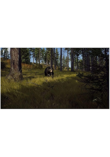 THQ Nordic Way Of The Hunter PS5