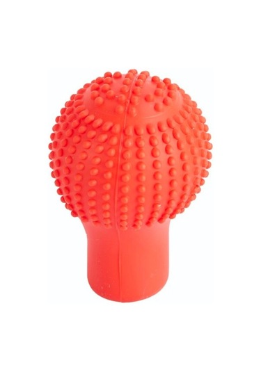 Space Kalitesi Ile Vites Topuzu Kılıfı Siyah / Icvı149