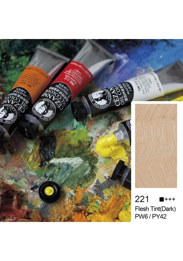 Bigpoint Cezanne Extra Fine Yağlı Boya 45 Ml Flesh Tint Dark 221 X 6 Adet Diğer