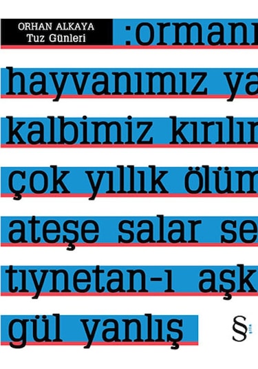 Tuz Günleri - Orhan Alkaya - Everest Yayınları