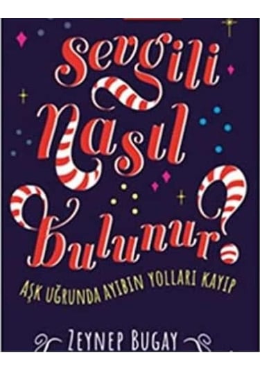 Sevgili Nasıl Bulunur Aşk Uğrunda Ayıbın Yolları Kayıp İlk Baskı 2018