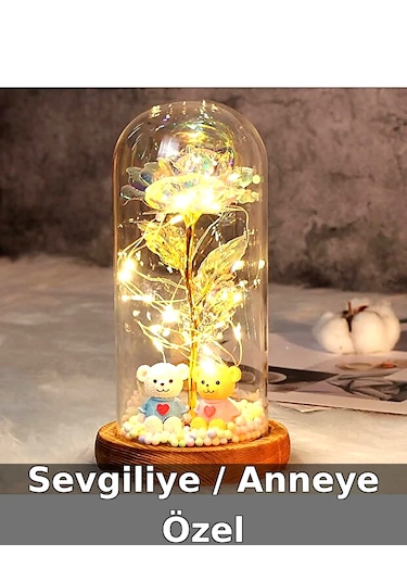 LED Işıklı Güllü Cam Fanus Ayıcıklı Gece Lambası Anneler Günü Hediyesi -