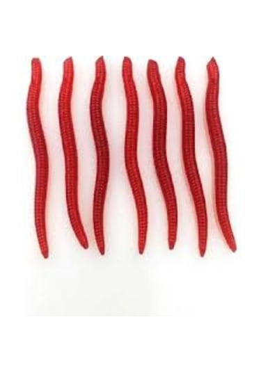 10 X 3.5 Cm Gerçek Görünümlü Kokulu Silikon Yapay Solucan Olta Balık Yemi