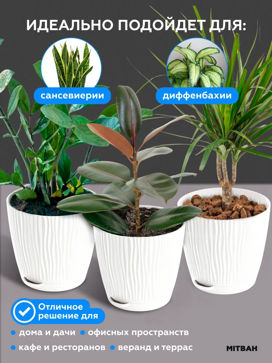 Mıtbah 3 Litrelik Saksı, Tepsiye Sahip, 3 Adet 257372490