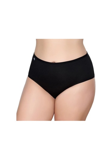 12 Adet Gümüş Bayan Renkli Likralı Bato Külot 3043 001