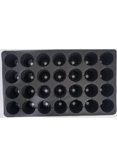 Fide Viyolü 28 Göz Fide Viyol Fide Viyolleri Fidelik Fide Kabı