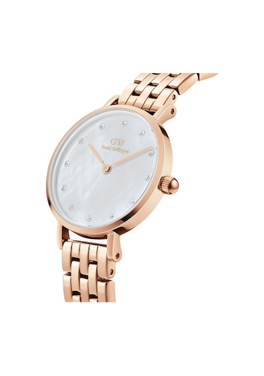 Daniel Wellington Dw00600613 Kadın Kol Saati Diğer