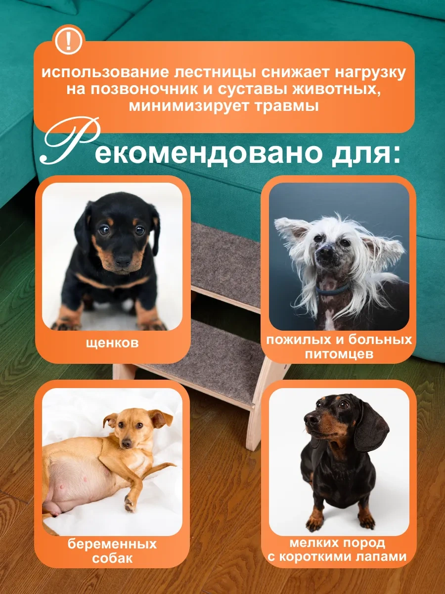 Köpekler İçin Yatak Başı Merdiveni 292410994