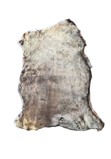 Gerçek Koyun Postu Kısa Tüylü Kahve Sarı 100x70 Cm