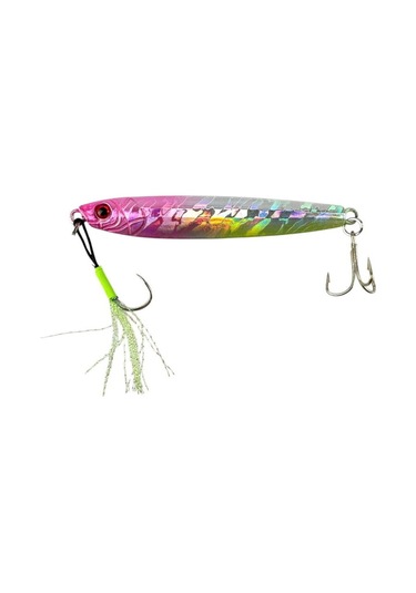 Sea Horse Special 80gr Jig Florid