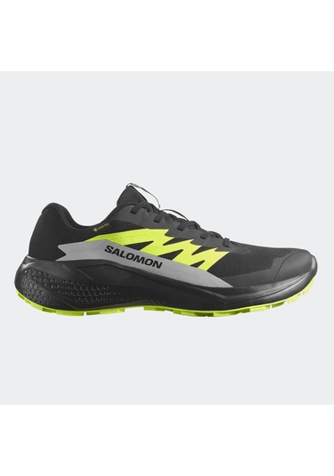 Salomon L47802000 Alphaglide Gore-tex Erkek Koşu Ayakkabısı Renkli
