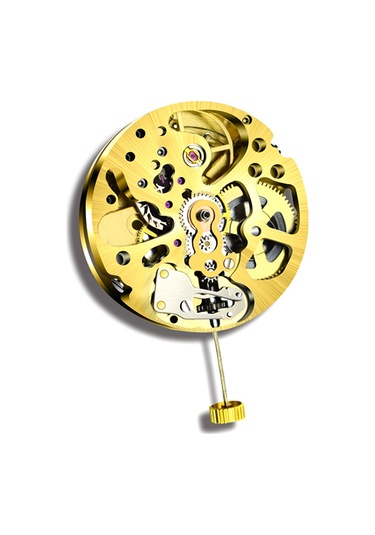 Xurunkeji Altın İskelet 2004 Hareketi Sıradan Sarkaç Ayarı Radyasyon Desenli Tam Otomatik Saat Hareketi Altın
