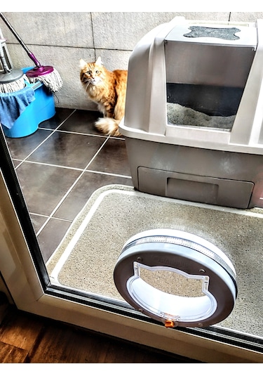 Patidoor Yuvarlak Kedi Kapısı 24.5 x 24.5 CM