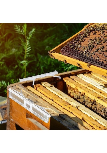 Fortunelane 24 Adet Plastik Arı Kovanı Seti, Kovan Tuzağı, Araçlar, Berrak, Arı Böcek Avcısı