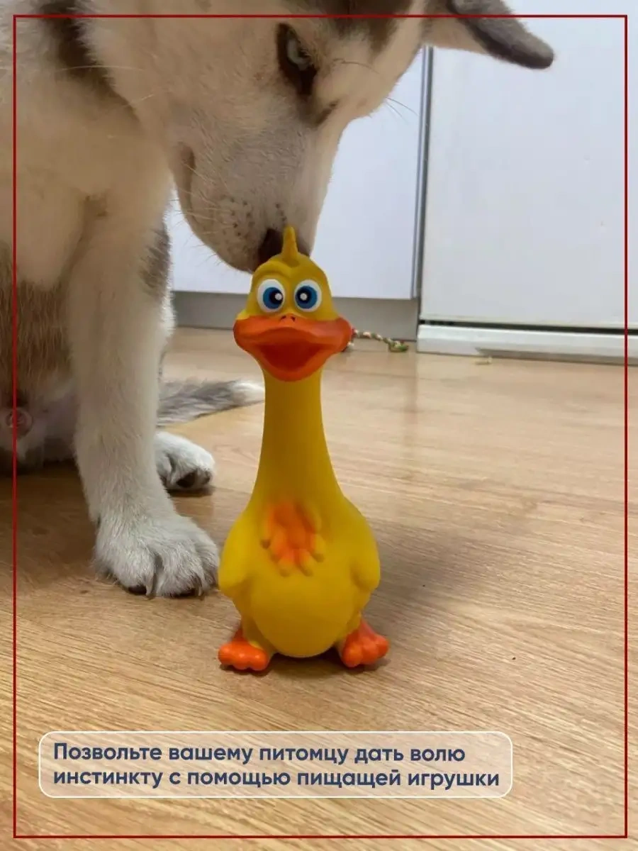 Olash Pets Köpekler Ve Yavrular İçin Oyuncak Evcil Hayvanlar İçin Ürünler Lateks Malzeme İle Yapılmıştır. 108156353