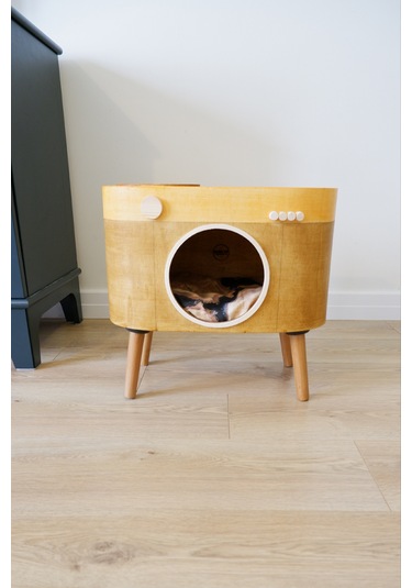 Huncar Kedi Evi Dekoratif Fotoğraf Makinesi Kedi Evi