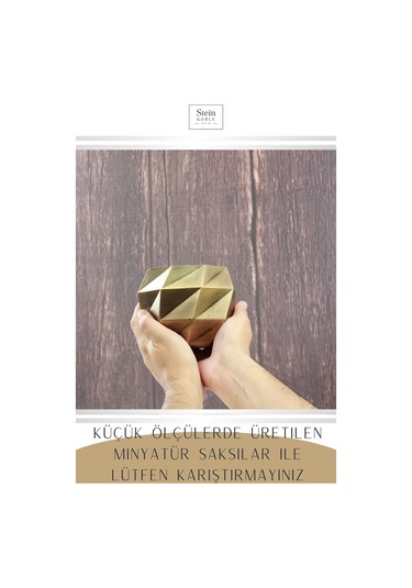 Çiçek Saksısı Dekoratif Kaktüs Saksı 1 Adet Dönen Poly Model - Altın Eskitme