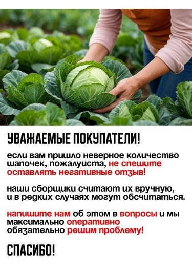 Domsadmarket Lahana Ve Ayçiçeği İçin Şapka 100 Ad 161626382