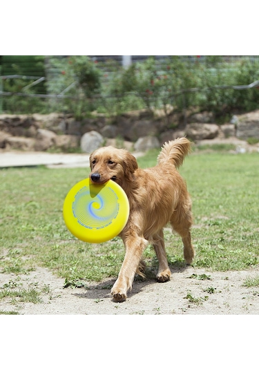 Konesam 110g Plastik Oynama Frisbee - Profesyonel Ve Yeni Oyuncular İçin Sarı Renkli 240mm Çaplı Uçan Disk