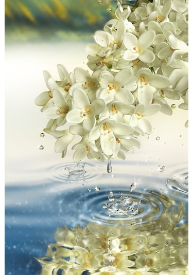 Estee Lauder Paradise Moon Kadın Parfüm EDP 100 ML