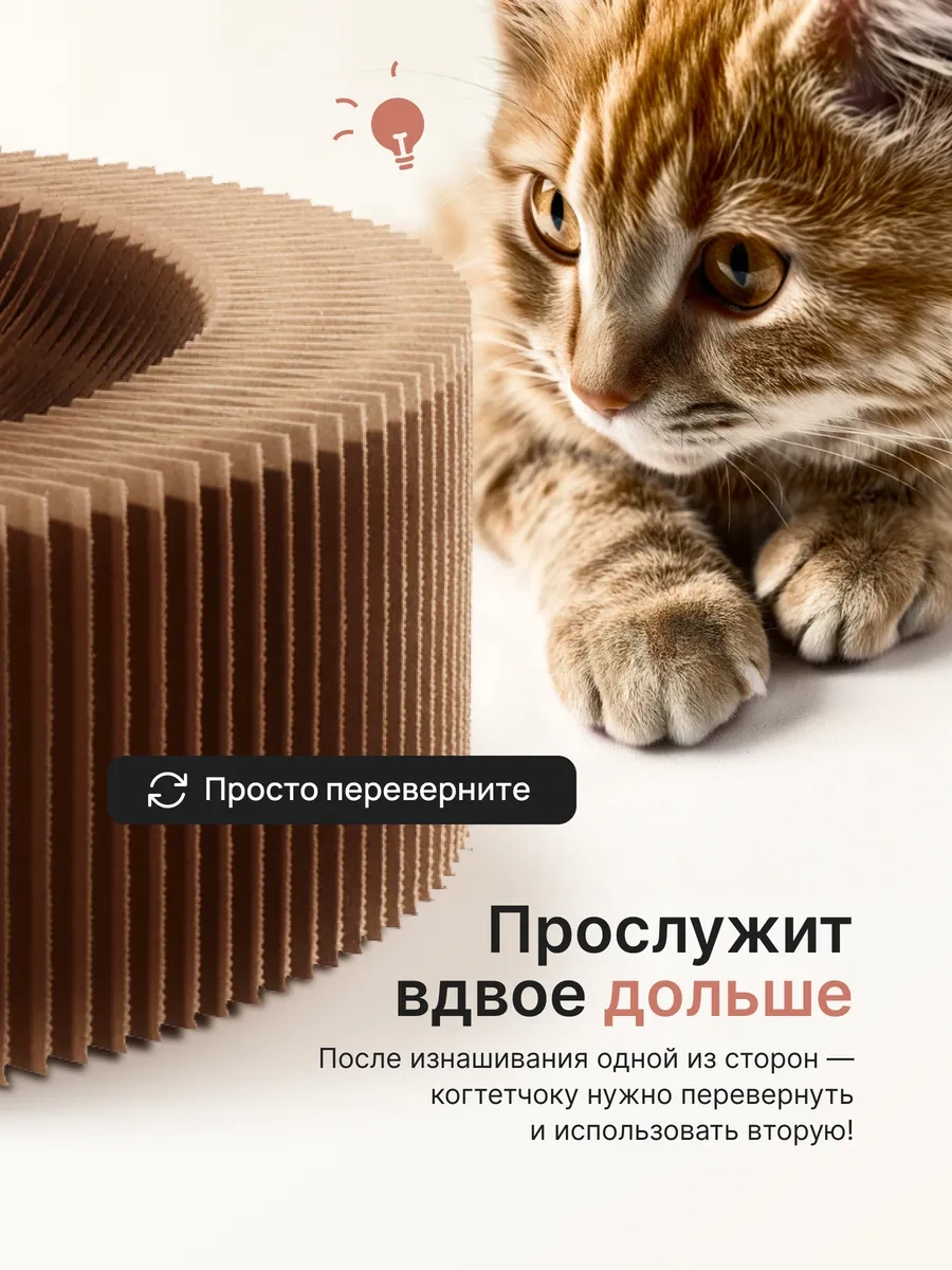 Kogtedralka Karton Yer Kedi Tırmalama Tahtası 398271933