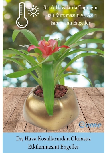 Saksı Çiçek Kaktüs Saksısı Lüx 14 Cm Elips Desen Saksı Çiçeklik - Altın Eskitme