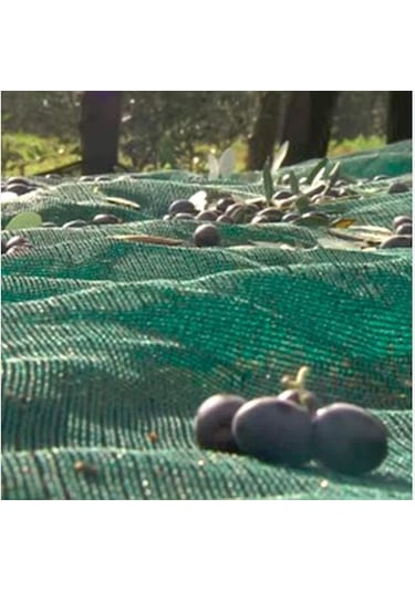 Zeytin Sergenlik - 75lik -yeşil