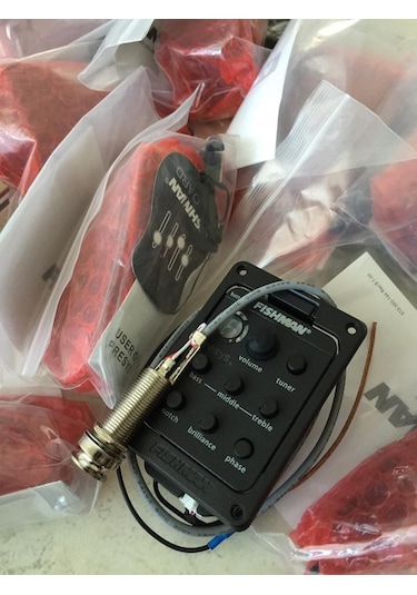 Fishman PSY-201 Ekolayzer