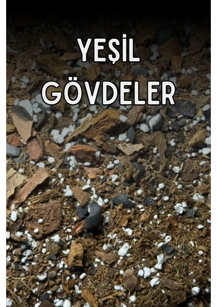 Köklemeden Ormana Seti / Büyüme Yolculuğu Için Toprak Karışımı 10 L