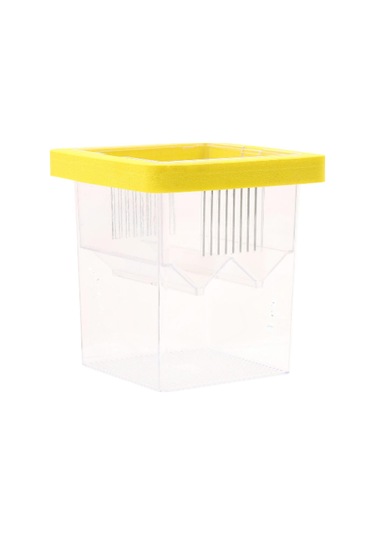 Homyl Yüzen Balık Yetiştiricisi Kutusu Palyaço Balığı,