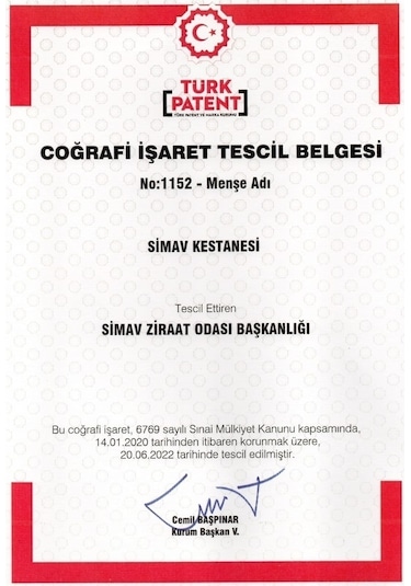 Simav Synaus Kestane Özlü ve Termal Sulu Şampuan Seti 2 x 500 ML