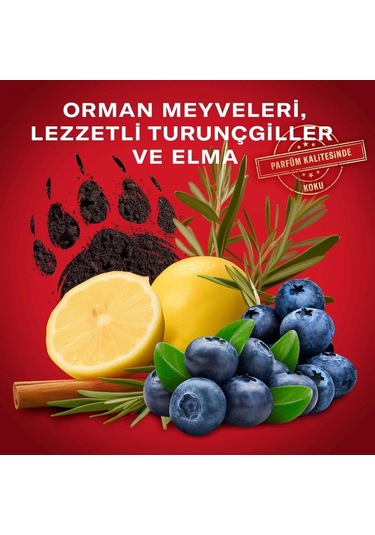 Old Spice Bearglove 3ın1 Erkek Duş Jeli Ve Şampuan 1000 Ml Xxl Fresh