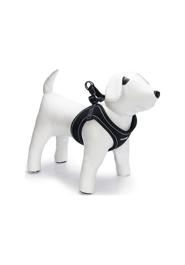 Beeztees Köpek Göğüs Tasması, Neopren, Siyah, S, 38-44cm Çok Renkli