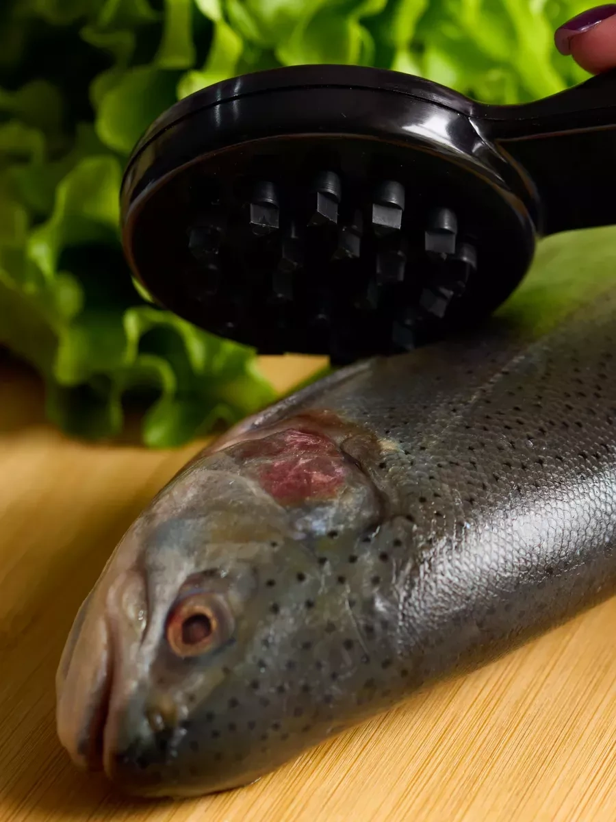 Topichome Balıkçı El Aleti, Her Türlü Balık İçin 238591652 Siyah