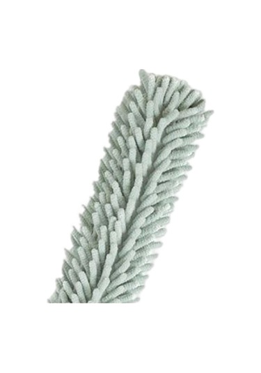 Pazly Yeşil Temizleme Teleskopik Tavan Suntek Silgi Magideal Için 1.3m Hj Yeşil