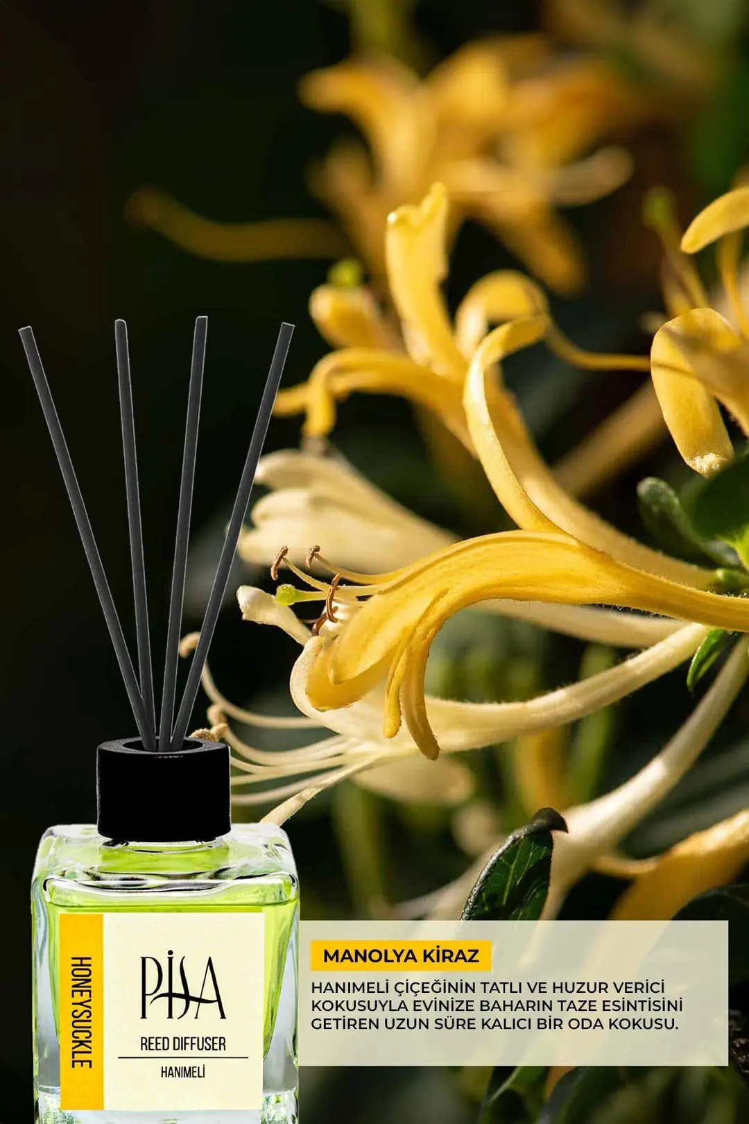 Pisa Hanımeli Çubuklu Oda Kokusu 100ml Bahçe Gülü - Bereket - Frekans - Hanımeli - Japon Kiraz Çiçeği - Lavanta - Limon Pisa Hanımeli Çubuklu Oda Kokusu 100ml Bahçe Gülü - Bereket - Frekans - Hanımeli - Japon Kiraz Çiçeği - Lavanta - Limon