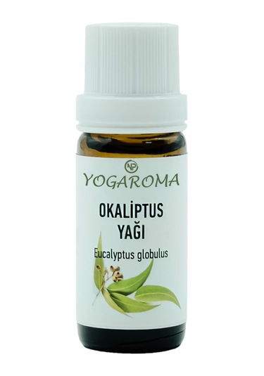 Npo Yogaroma Ferahlatıcı Aromaterapi 10ml Saf Ve Doğal Okaliptus Uçucu Yağ 10 ML