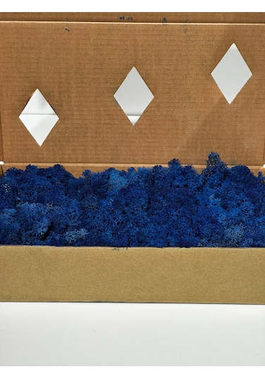 Reindermoss Şoklanmış Norveç Yosunu Terarium Yosunu Mavi 500 Gr.