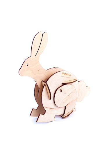 Stemist Box Gravity  Toy