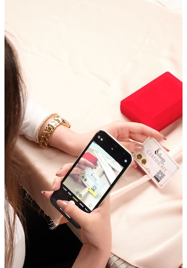 Ssilhoutte Doğaltaş Sertifikalı Kaplangözü Ve Hematit Kombin Doğal Taş Hediye Erkek Bileklik Kahverengi