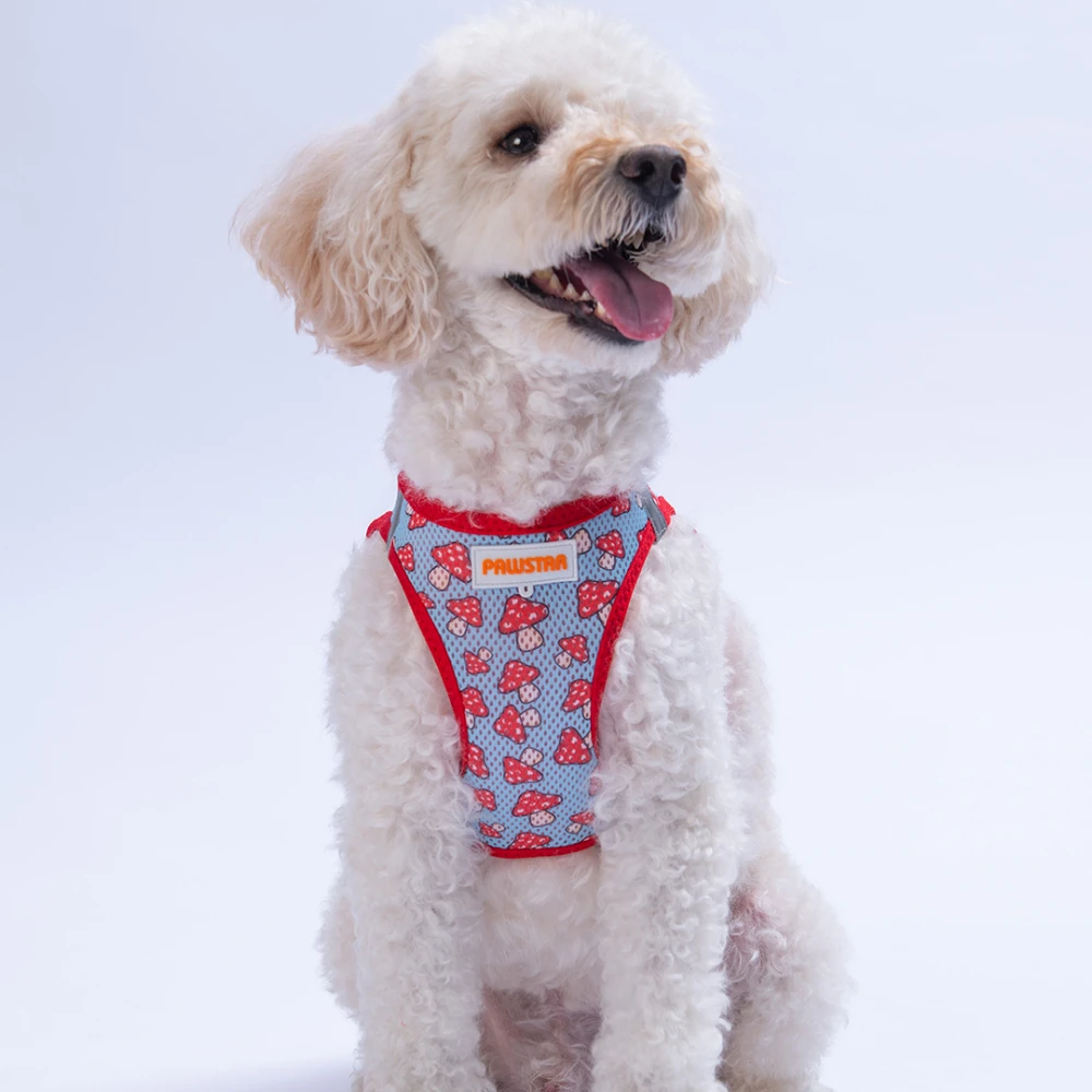 Mushroom Airmesh Kedi Köpek Göğüs Tasması M Kırmızı