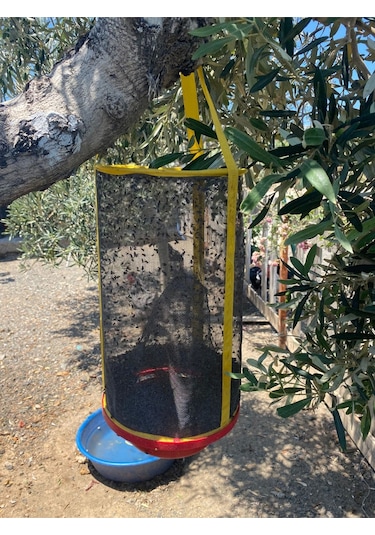 Flykıll Sinek Tuzağı