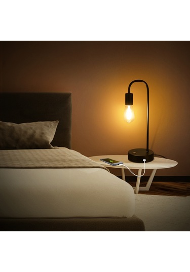 Tomshine Endüstriyel İki Usb Şarj Portlu Masa Lambası Diğer